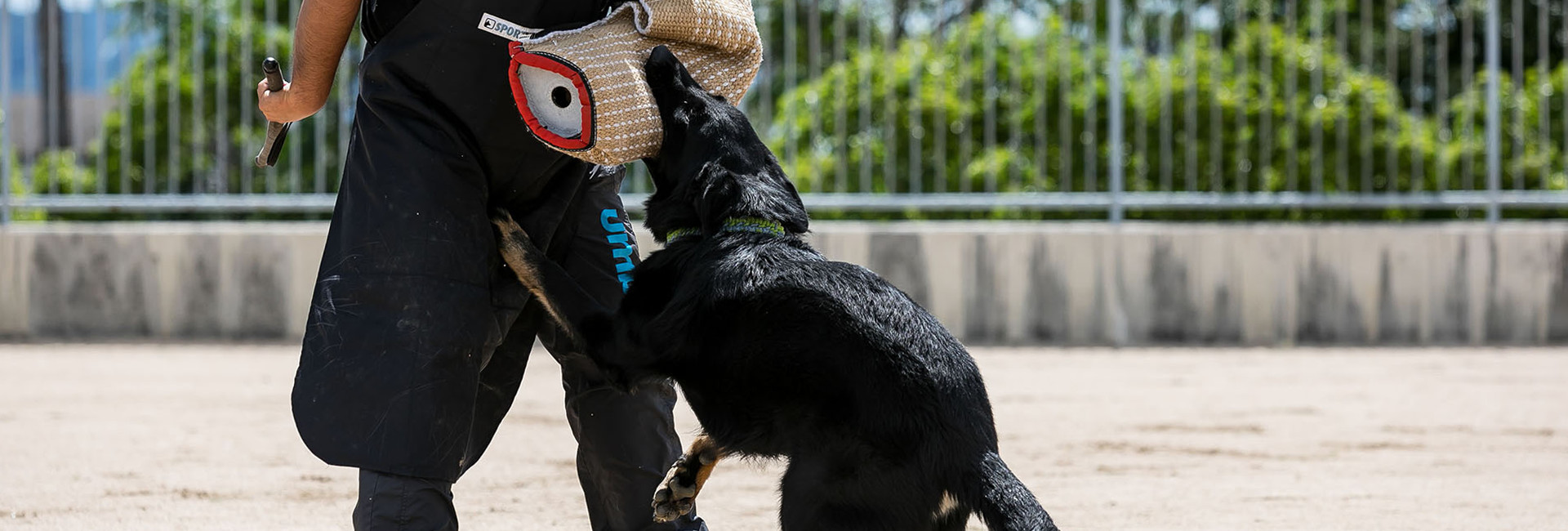 Dog Training GROW DOG