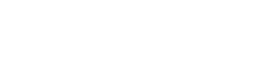 出張のしつけトレーニング