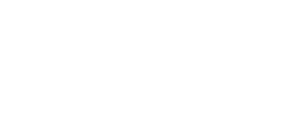 出張のしつけトレーニング